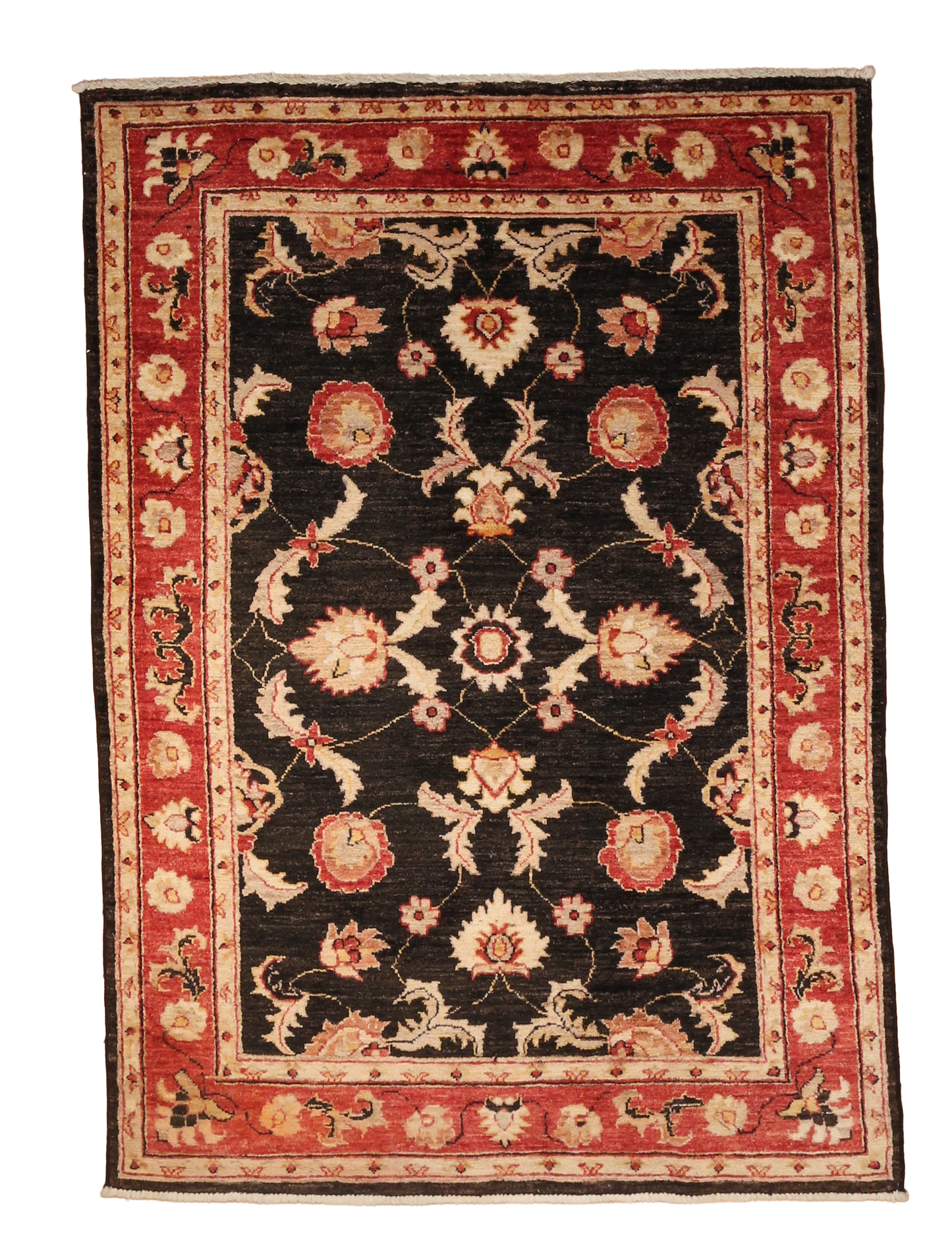 Ushak Design