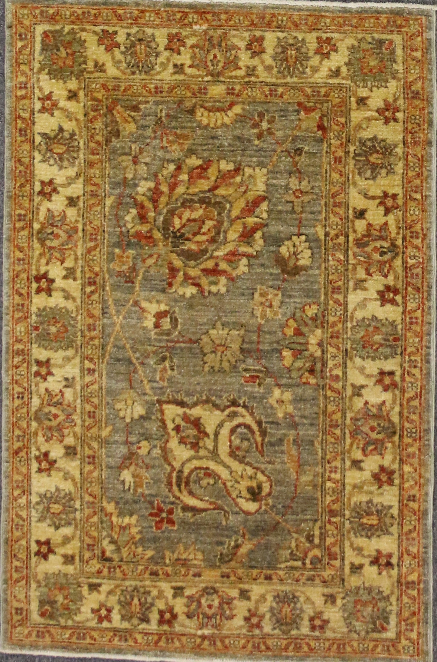 Agra Design