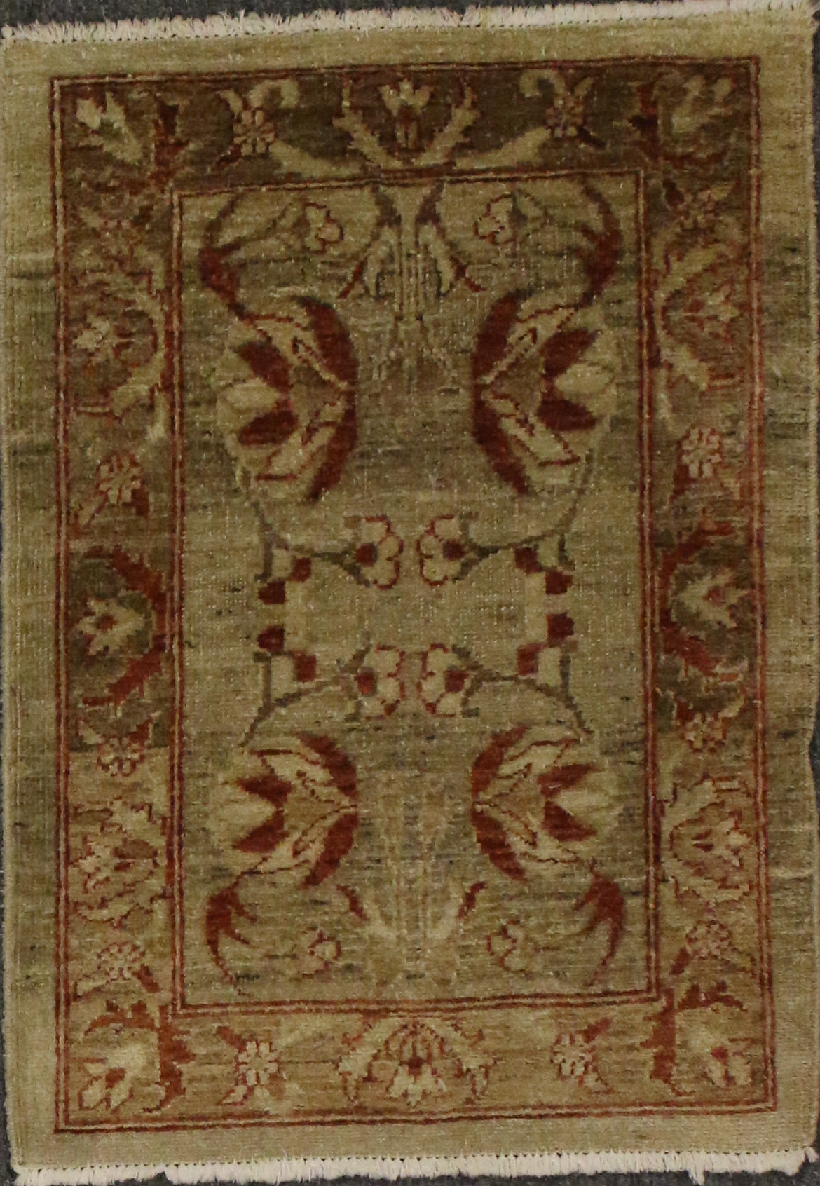 Agra Design