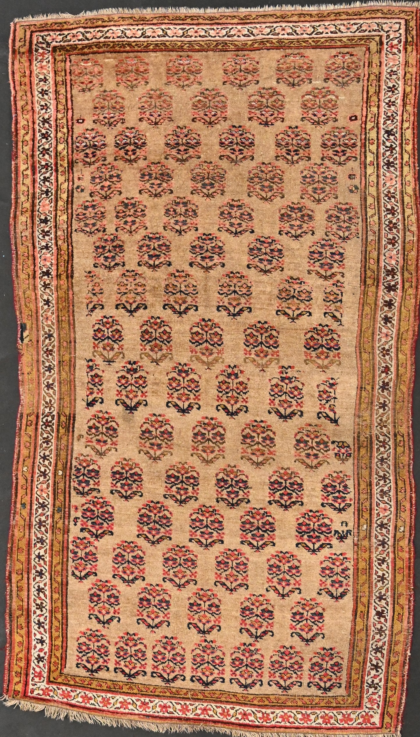 Antique Kurd