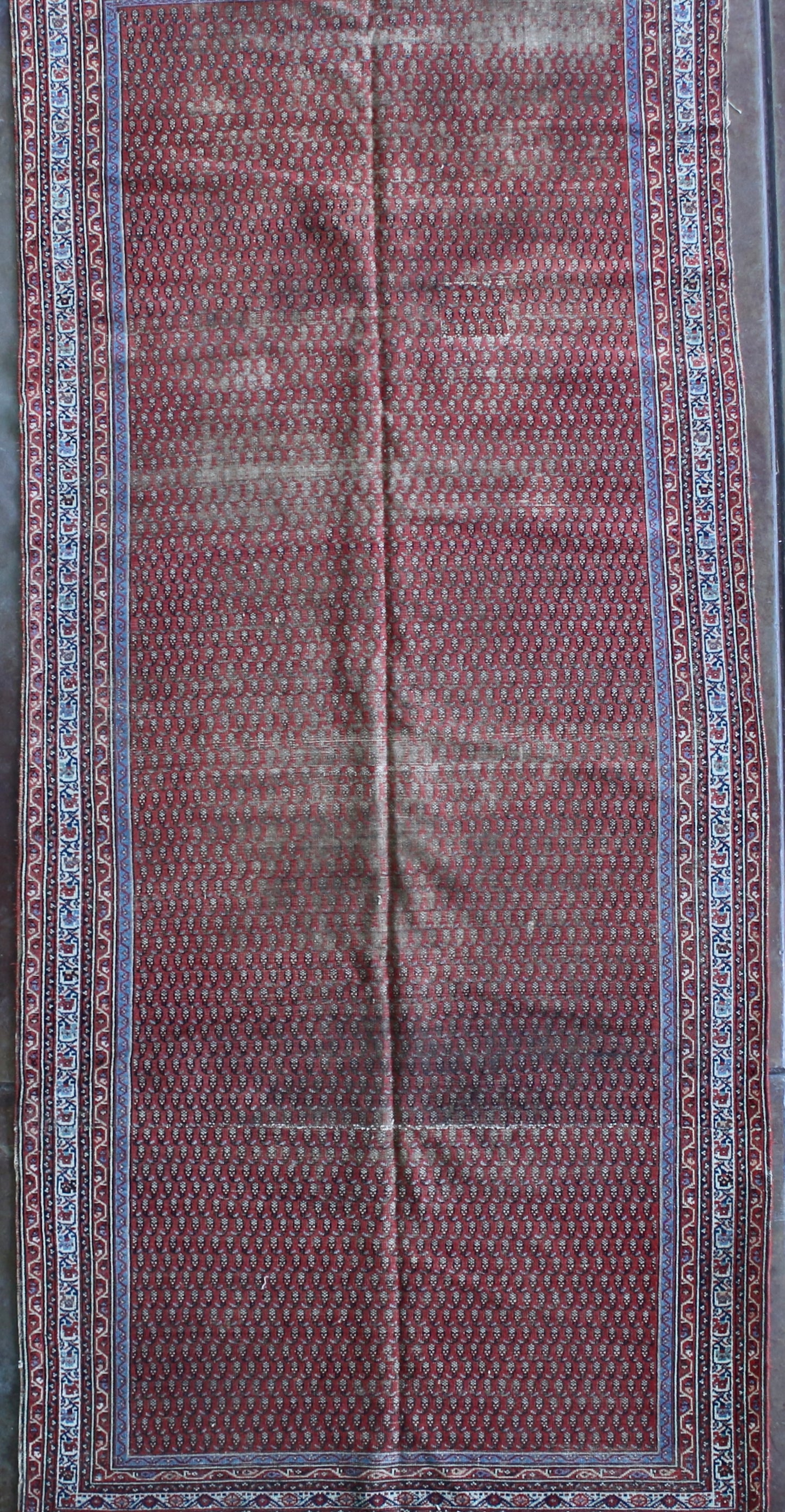 Antique Saraband
