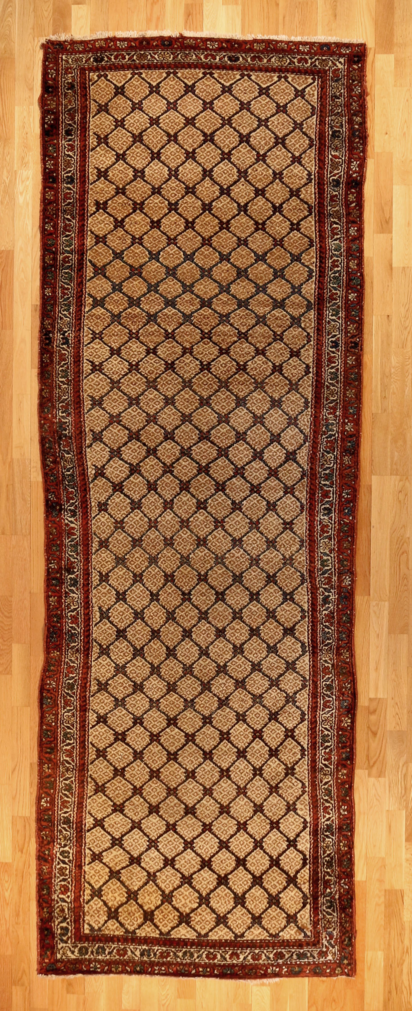 Antique Camel Hair Sarab