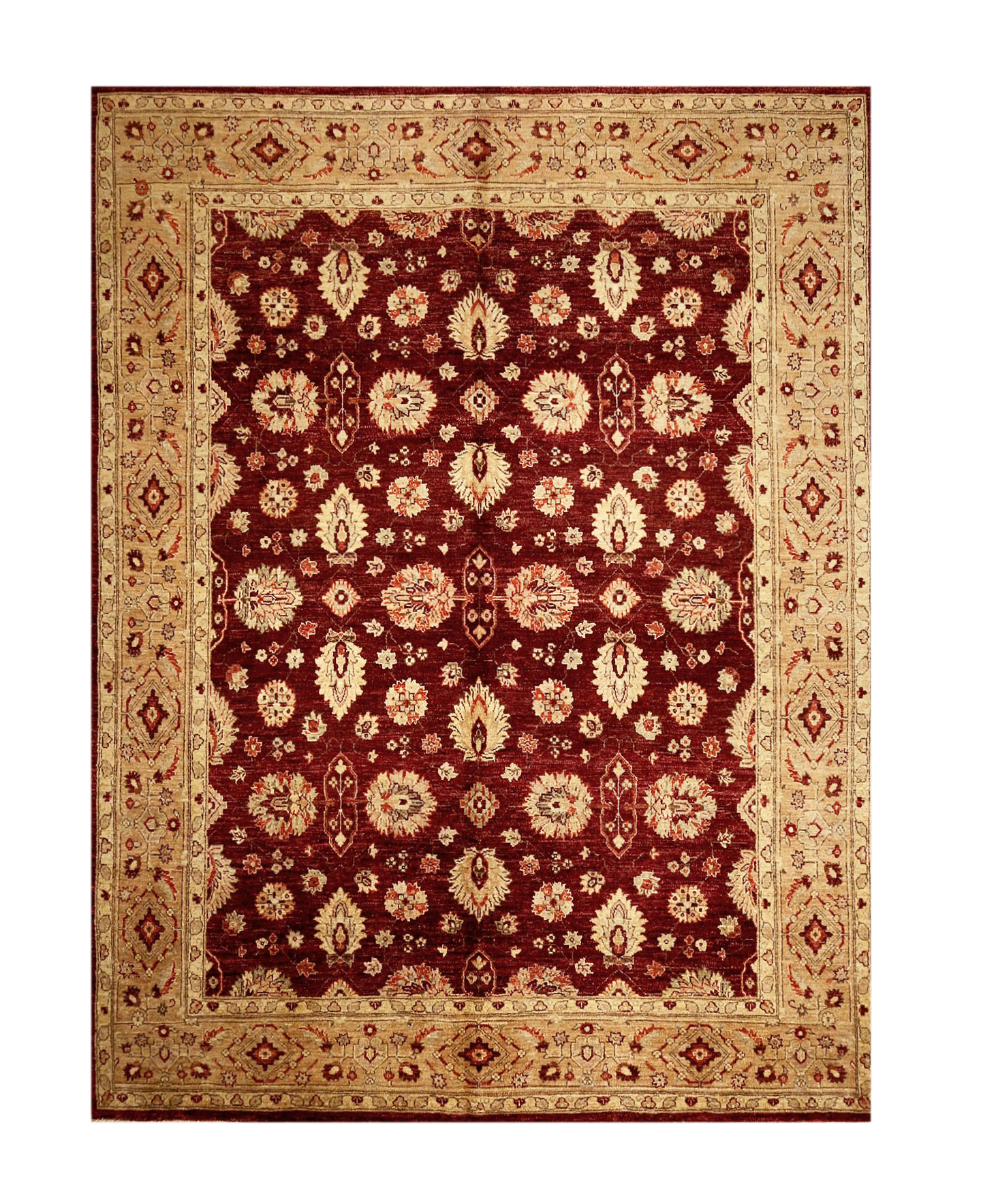 Ushak Design