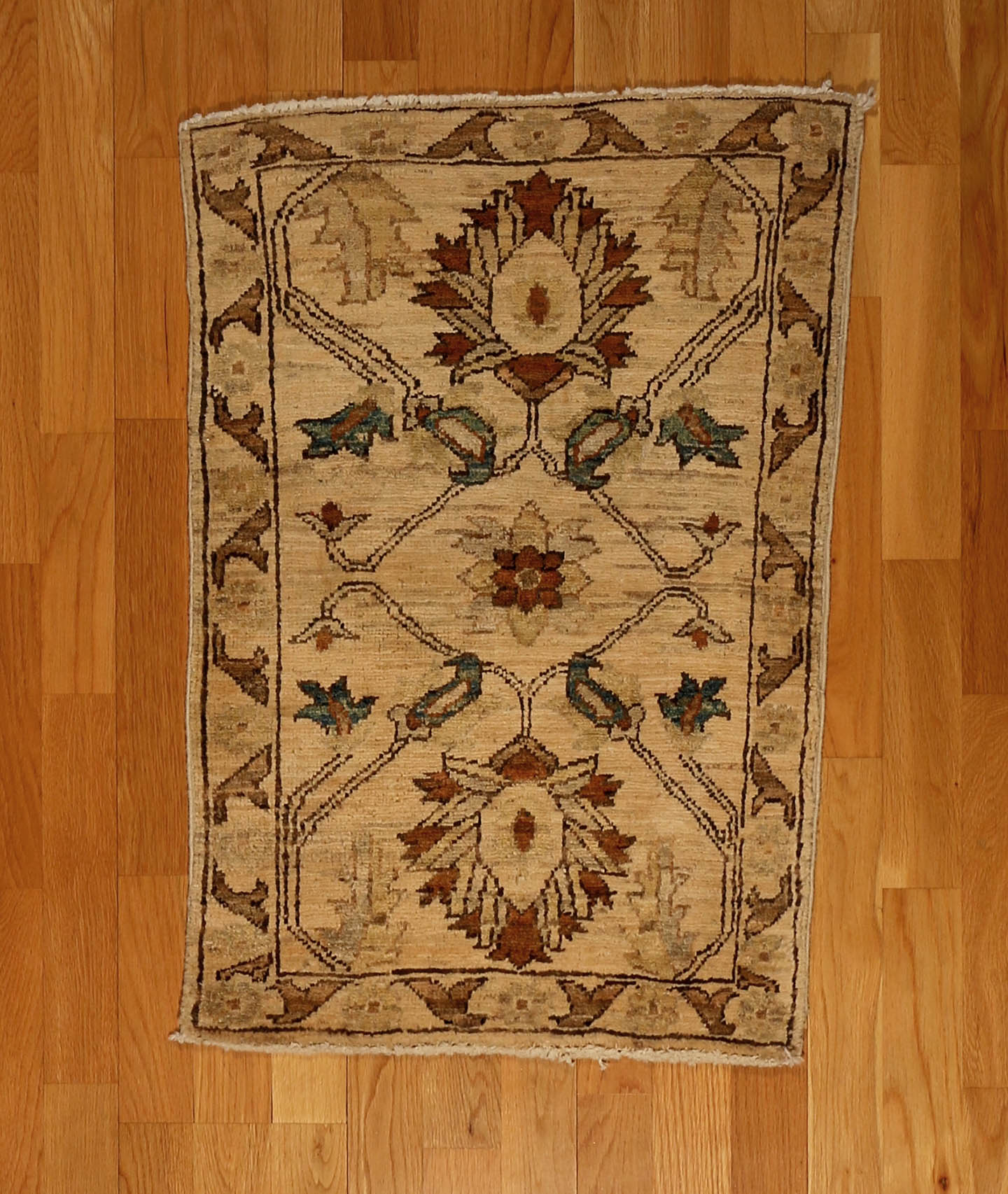 Ushak Design