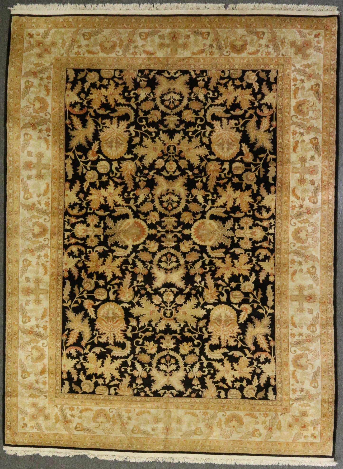 Paki Agra Design