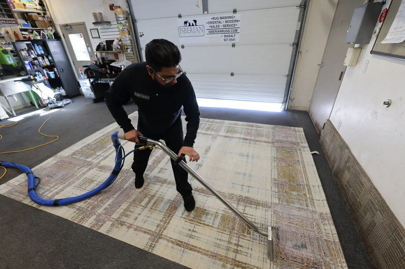 DIY vs. Professional Rug Cleaning: What You Risk Doing It Yourself