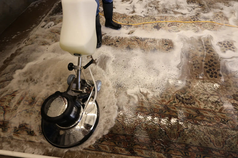 How Often Should You Have an Oriental Rug Professionally Cleaned?