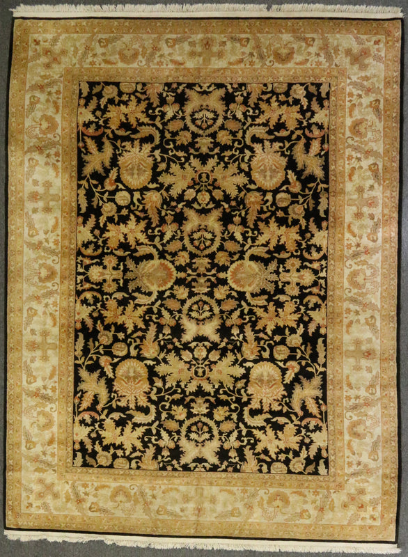 Paki Agra Design
