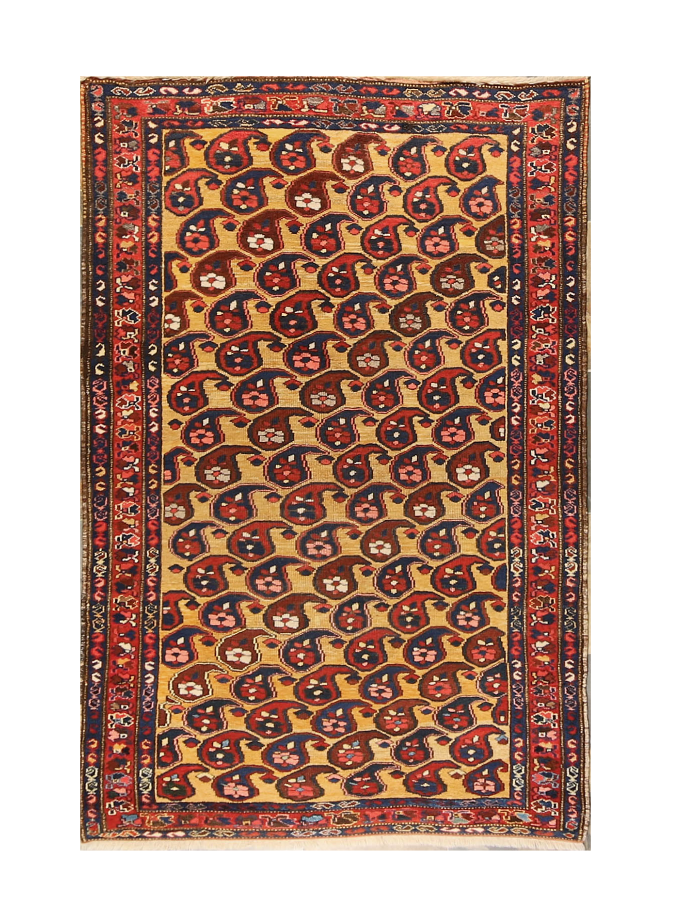 Antique Kurd